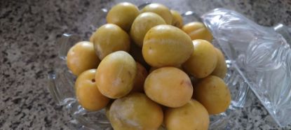 تصویر  آلو بخارا